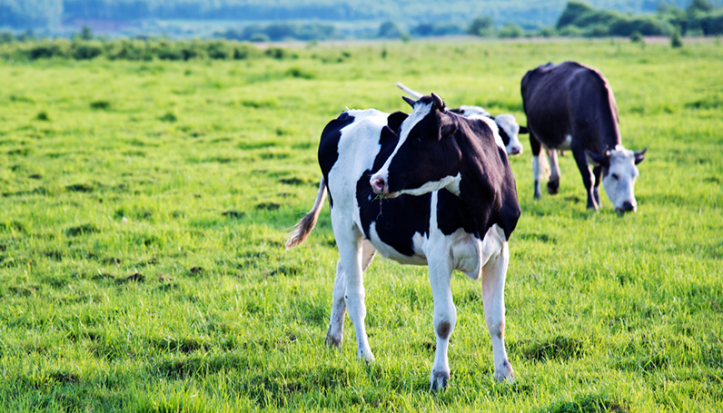 taptap开户-taptap体育注册