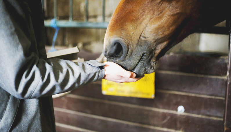 taptap开户-taptap体育注册