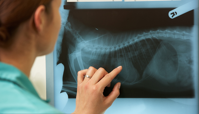 taptap开户-taptap体育注册