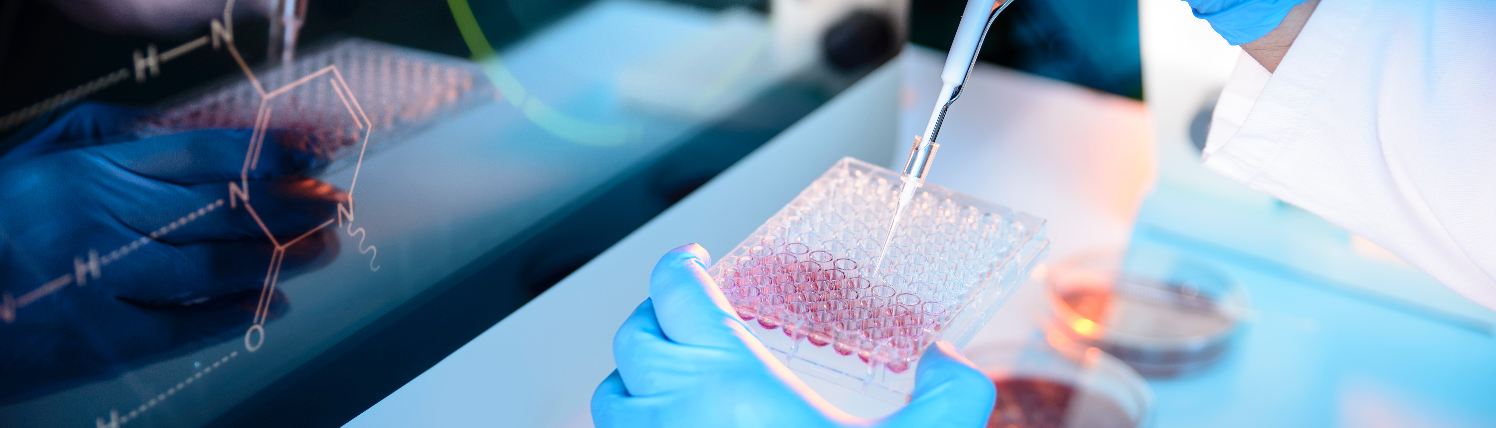 taptap开户-taptap体育注册