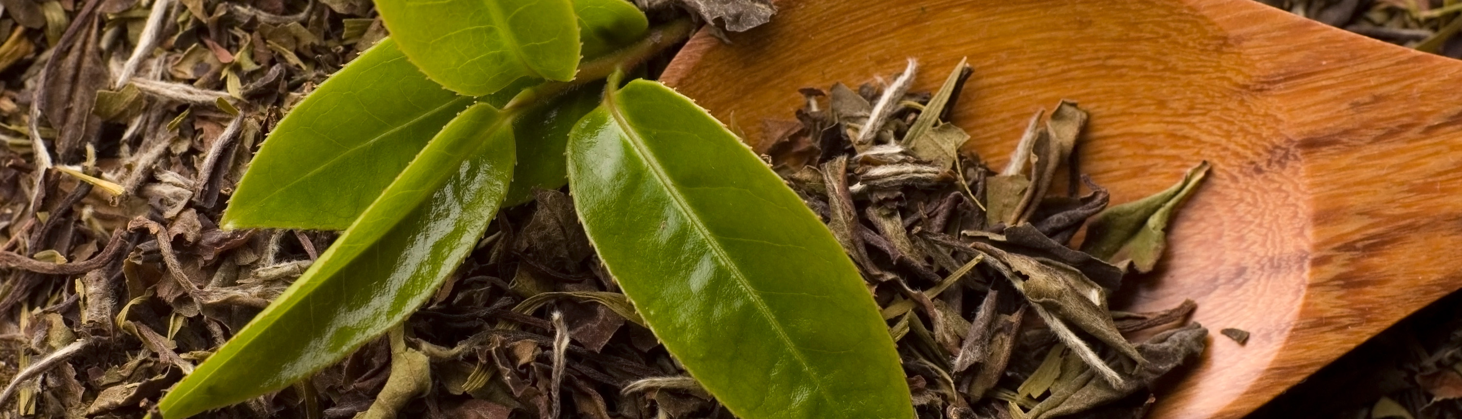 taptap开户-taptap体育注册