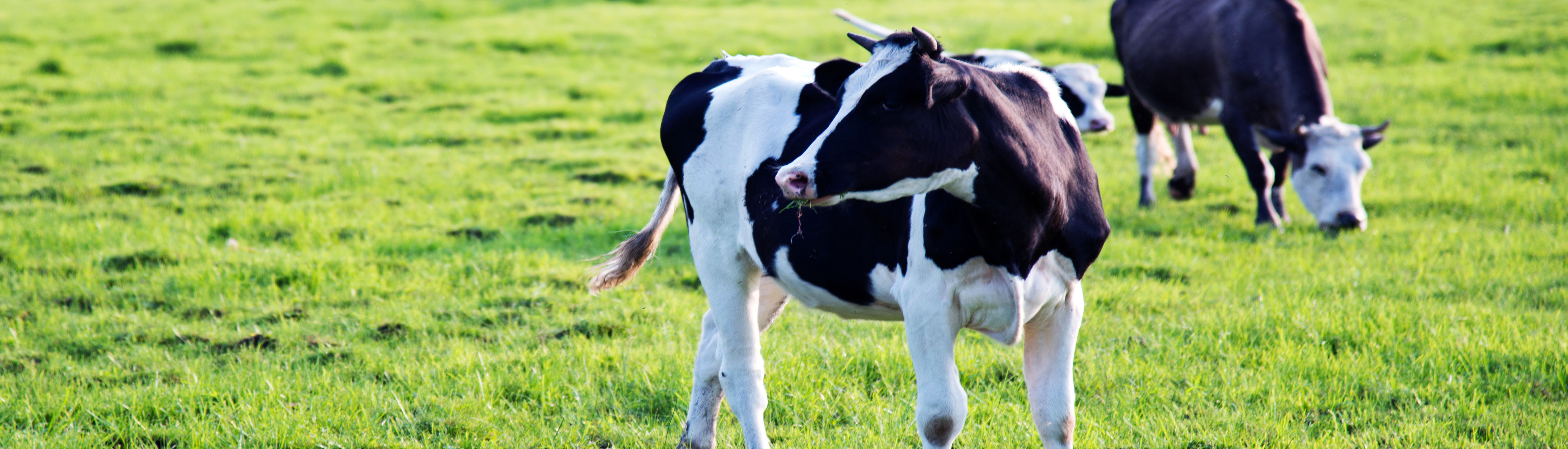 taptap开户-taptap体育注册