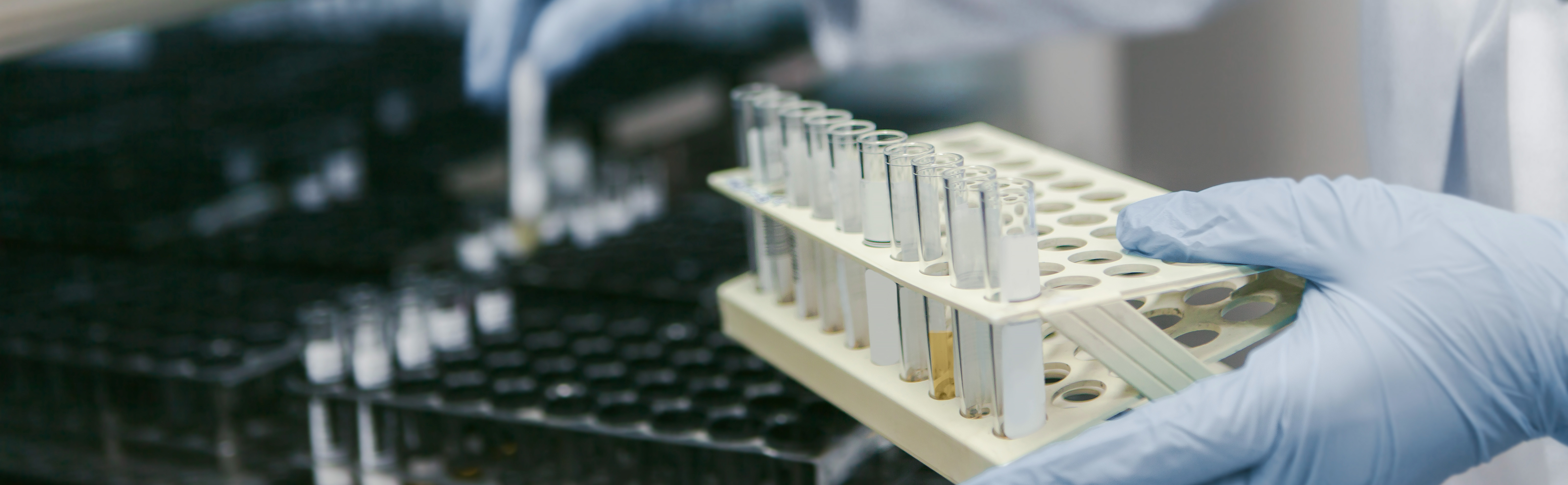 taptap开户-taptap体育注册