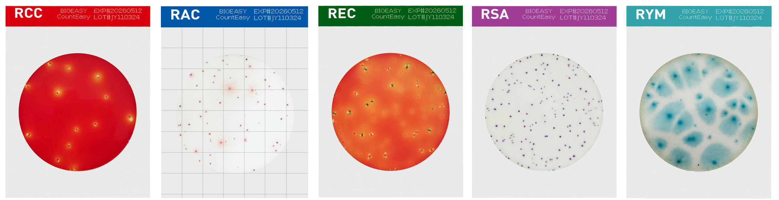 taptap开户-taptap体育注册